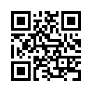 QR CODE 338