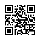 QR CODE 342