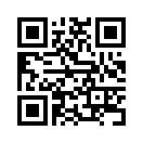 QR CODE 345