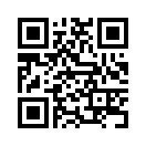 QR CODE 347