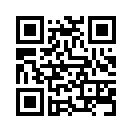 QR CODE 347
