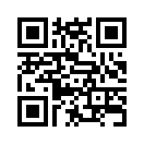 QR CODE 81