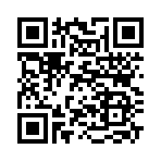QR CODE 110