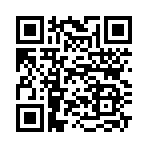 QR CODE 394