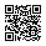 QR CODE 677