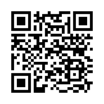 QR CODE 737