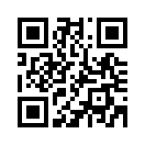 QR CODE 246