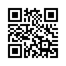 QR CODE 316