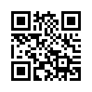QR CODE 317