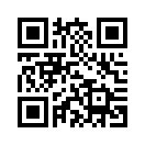 QR CODE 329