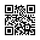 QR CODE 336