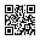 QR CODE 447