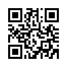 QR CODE 461