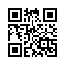 QR CODE 1238