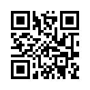 QR CODE 1333