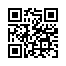 QR CODE 5334