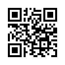QR CODE 5381