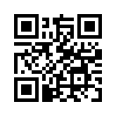 QR CODE 5393