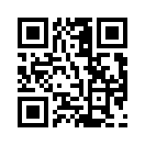 QR CODE 5394