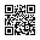 QR CODE 110