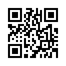 QR CODE 31