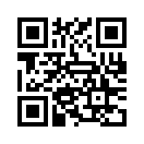 QR CODE 42