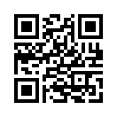 QR CODE 494