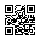 QR CODE 528