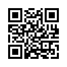 QR CODE 993