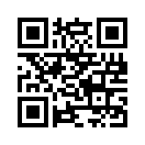 QR CODE 31