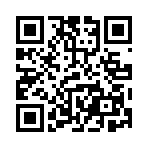 QR CODE 110