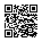 QR CODE 115
