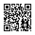 QR CODE 131