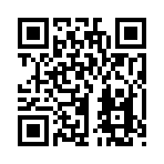 QR CODE 133