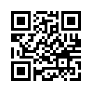 QR CODE 28
