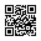 QR CODE 31