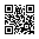 QR CODE 53