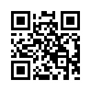 QR CODE 65