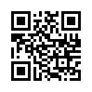 QR CODE 133