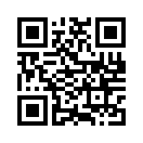 QR CODE 263