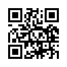 QR CODE 31