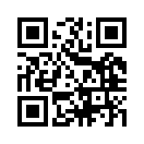 QR CODE 317