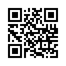 QR CODE 329