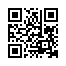 QR CODE 336