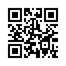 QR CODE 394