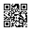 QR CODE 461