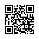 QR CODE 494