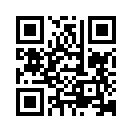 QR CODE 511