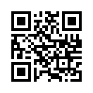 QR CODE 529