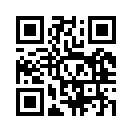 QR CODE 53